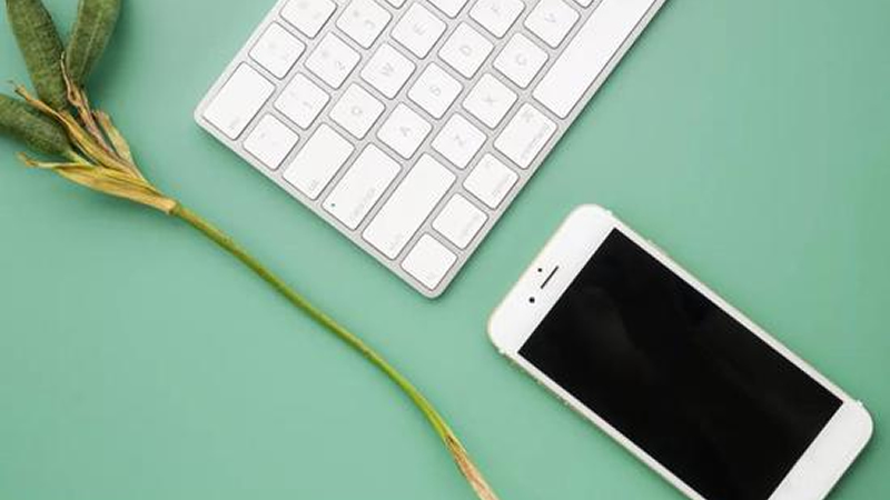 疫情中的蘋果:下調(diào)營收預期 供應鏈復工難 零售店關停